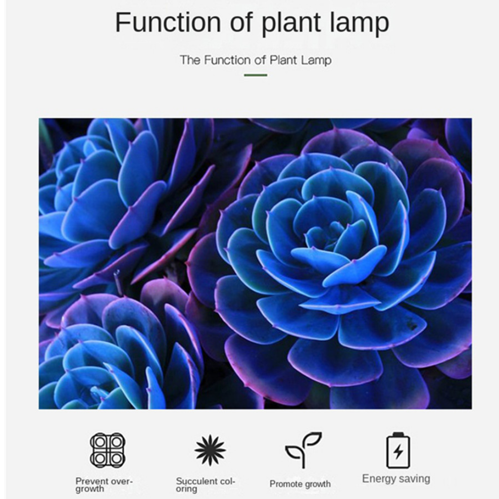 OuuZuu USB 5V LED-groeilicht Volledig spectrum Rood en blauw Phyto-groeilamp Indoor Phytolamp voor planten Bloemen Zaailing Kas
