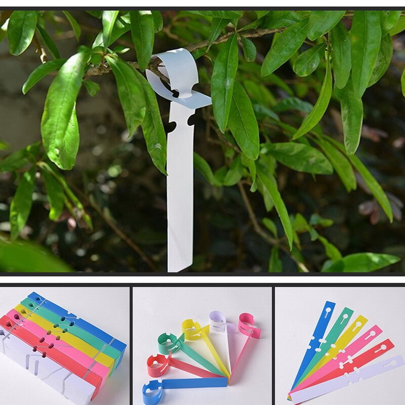 Gardening Garden Hang Tag Label Hanging Tree Seedling Plant Fruit Trees Signs Prompt Card Classification Tool