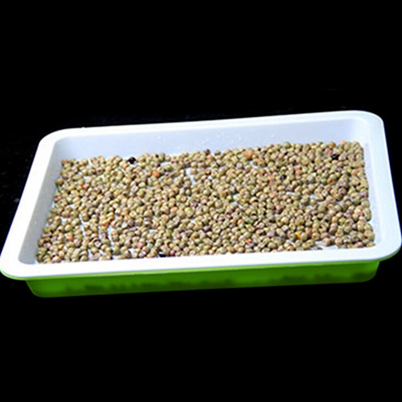 Bandeja para germinar semillas con tapa, libre de BPA, brotes de soja, bandeja para germinar semillas, Forma libre de suciedad y gran capacidad