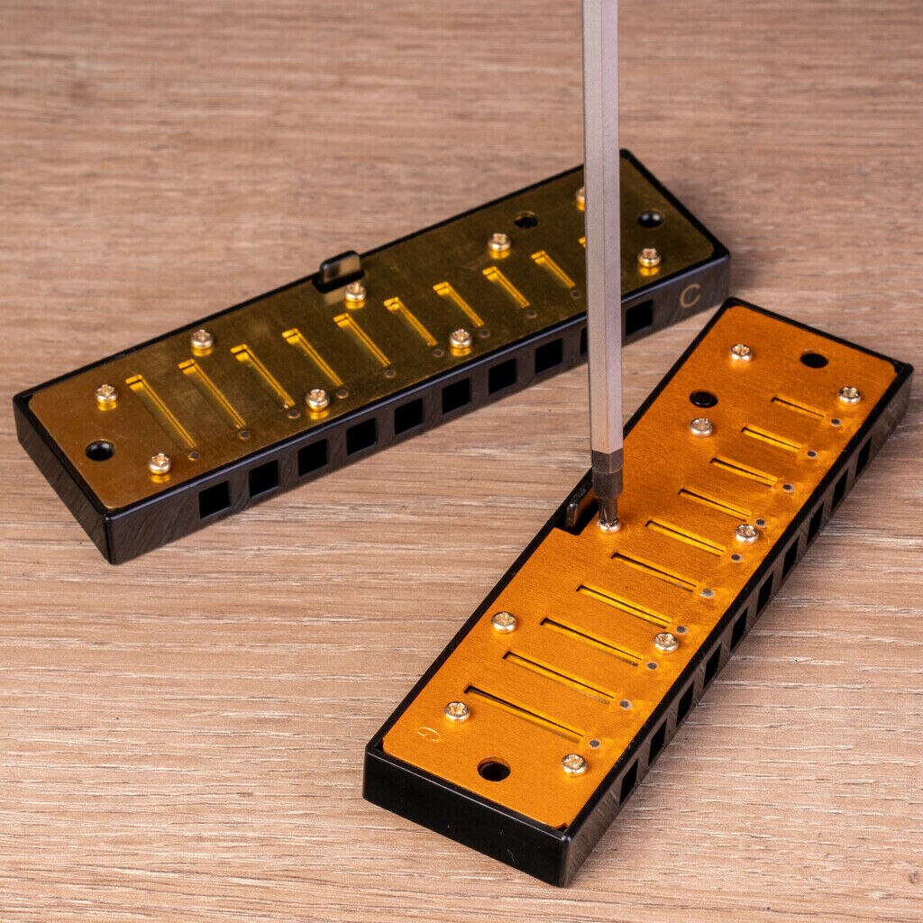 Blues Band Harmonica Starter Set W/7 Harp Toetsen C D E F G Een Bb 7 Stuk set Met Draagtas