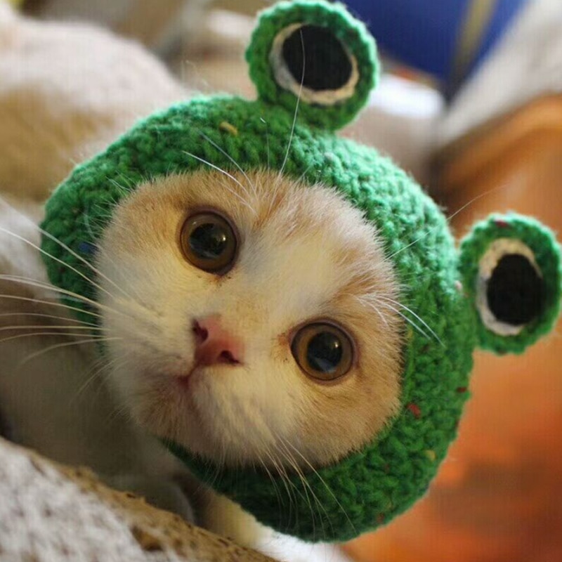 Tejido de punto lindo gato sombreros Rana cachorro gatito sombrero para invierno y otoño de algodón hecho a mano mascota de perro accesorios para perrito