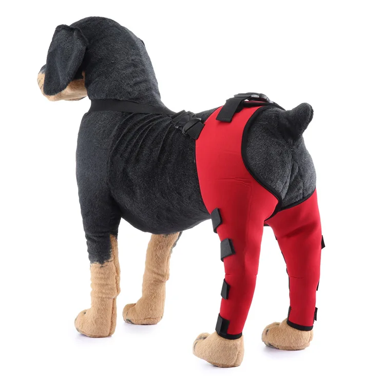 Pet Puppy Knee Pads Dog Back Leg Braces for Injured Dogs Support Brace Injury Joint Wrap Recover Protector Dog Accessories: M / black