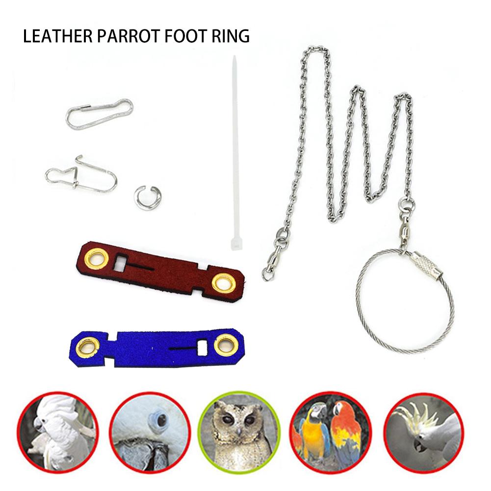 5 Maten Vogel Papegaai Voet Keten Lederen Voeten Ring Papegaai Voet Live Gesp Duif Fluwelen Voet Cover Leather Papegaai Voet ring Leash