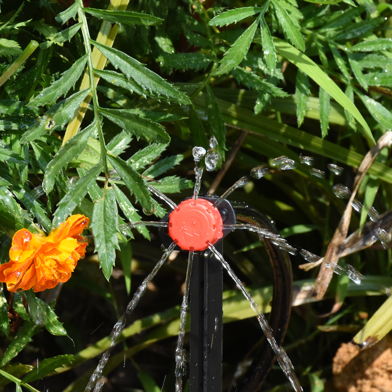 30-500 Stuks Verstelbare 1/4 Irrigatie Misting Druppelaar Sprinkler Emitter Micro Drip Tuin Watering Tool Balkon Tuin Kas