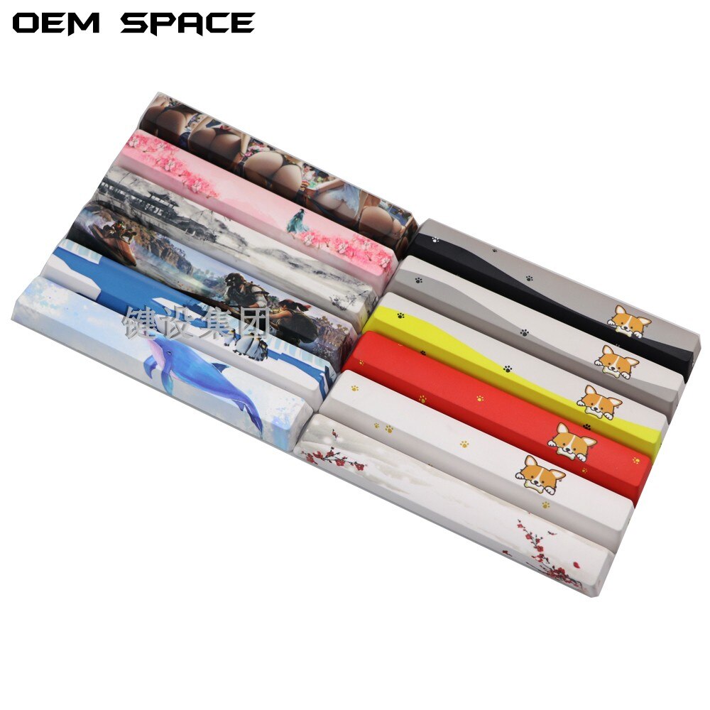 1pc PBT space key cap 6.25X 6.25U spacebar for mx switch mechanical keyboard OEM profile five-sided dye sublimation