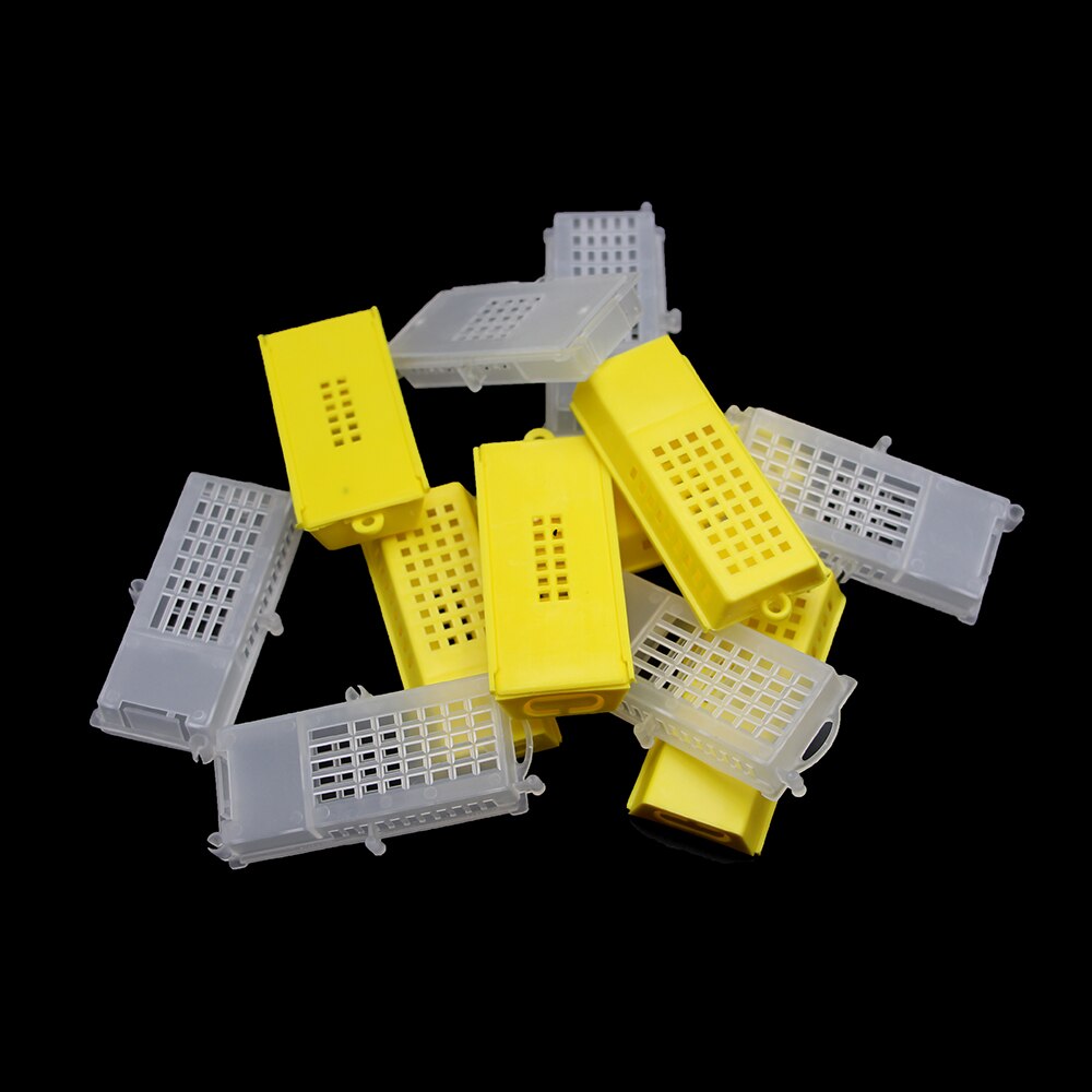 Jaulas de transporte de apicultura, sistema de cría de Reina, jaula de plástico para prisión, poste de casa, suministros de equipo de herramientas para abejas, 60 uds.