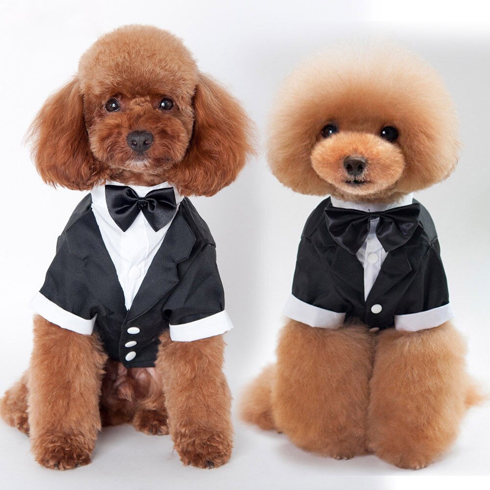 Huisdier hond kat kleding trouwpak smoking vlinderdas puppy kleding shirts s/m/l/xl/xxl