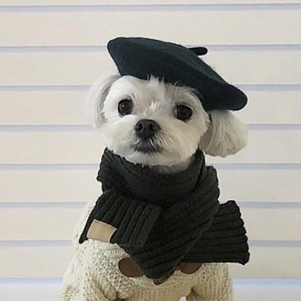 Kleurrijke Pet Dog Verstelbare Schilder Baret Voor Kleine Honden Puppy Fotografische Rekwisieten Hoed Hond Accessoires Decoratieve Hoed
