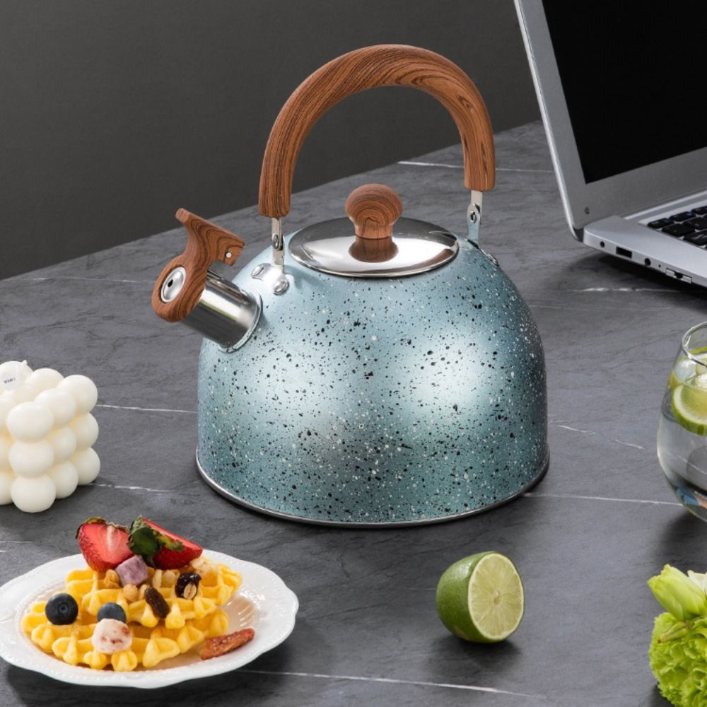 2/3L Star Point Fluitje Ketel Roestvrij Staal Platte Bodem Kachel Waterkoker Verdikte Grote Capaciteit Theepot Inductie kookplaat