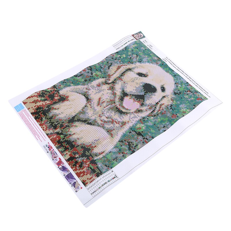 5D Diy Diamant Borduurwerk Leuke Gele Hond En Bloemenweide Diamant Schilderen Golden Retriever Kruissteek Mozaïek Unframed