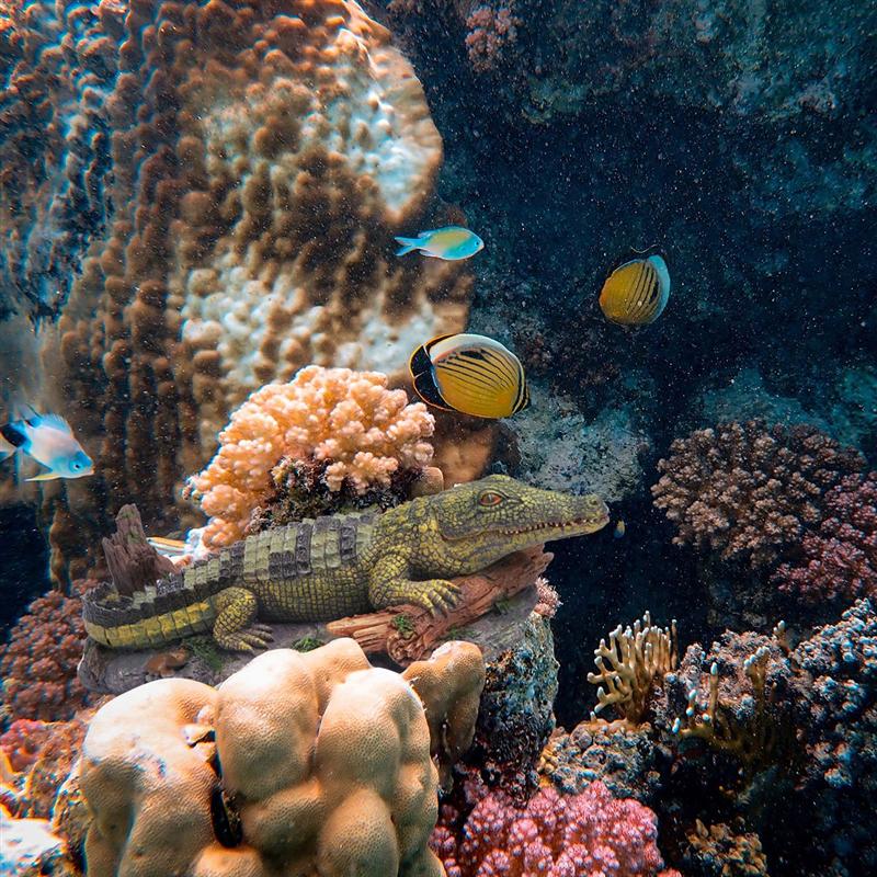 Aquarium zuurstofpomp hars krokodil decoratie voor aquarium vissenkom krokodil vorm zuurstofpomp landschap luchtbel ornament