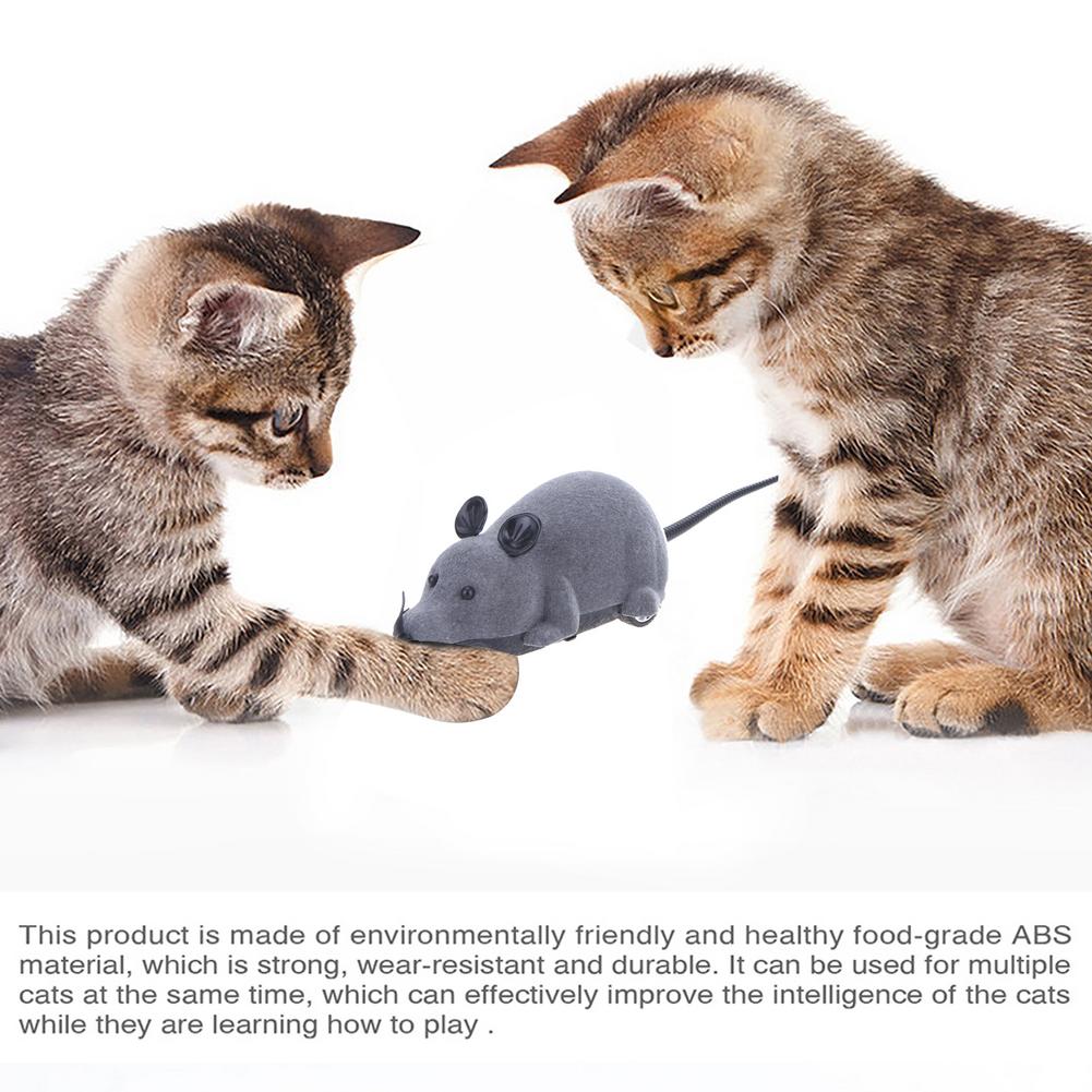 Souris électronique sans fil pour chat, télécommande, jouet amusant, interactif, accessoire pour animaux de compagnie