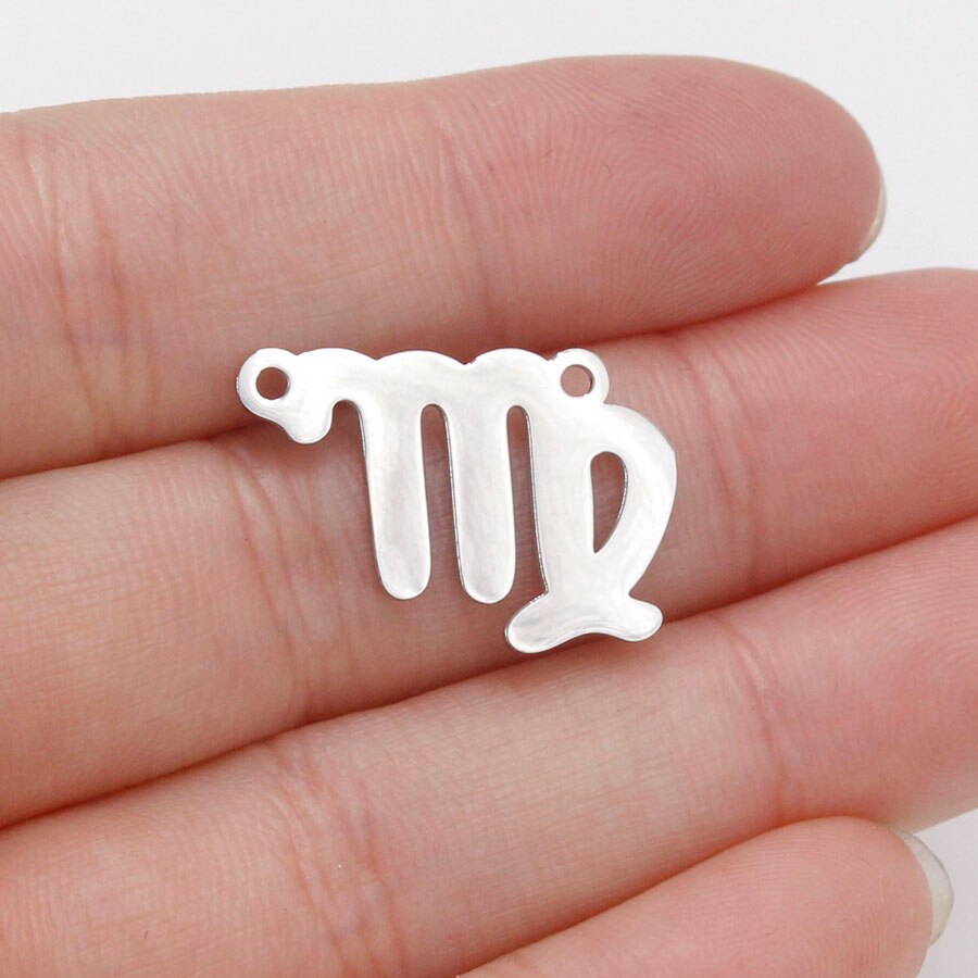 Fnixtar 15mm Mirror Polished Stainless Steel Twelve Zodiac Charms DIY Constellation Connectors Charms DIY Jewelry 12pcs/lot