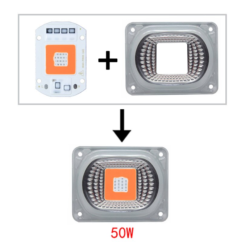 20w 30w 50w led phyto lys  ac220v vækstlamper med linsereflektor rød+blå led vækstlys fuldt spektrum til planter frø: Kit 50w led.linse