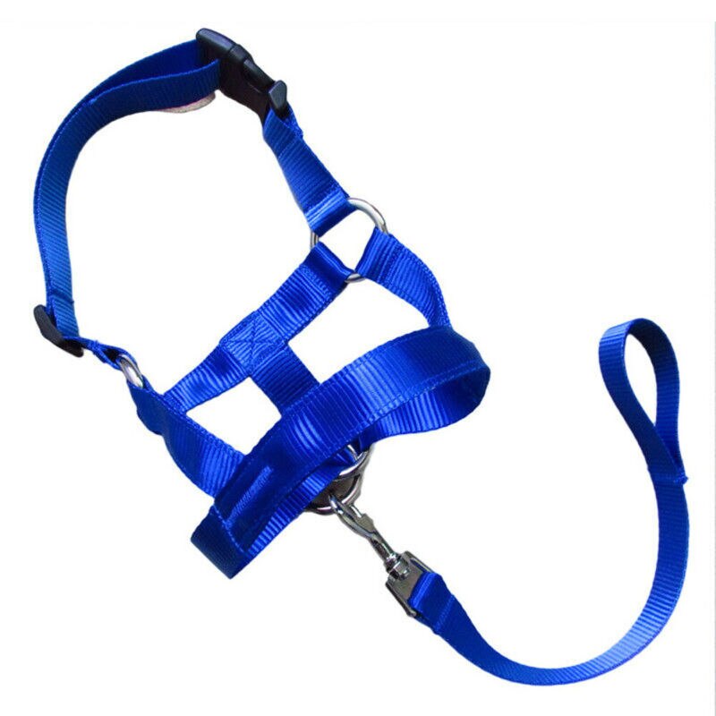 Dog Pet Head Collar Halter Leash Leader No Pull Training Straps S M L XL 2XL /BY