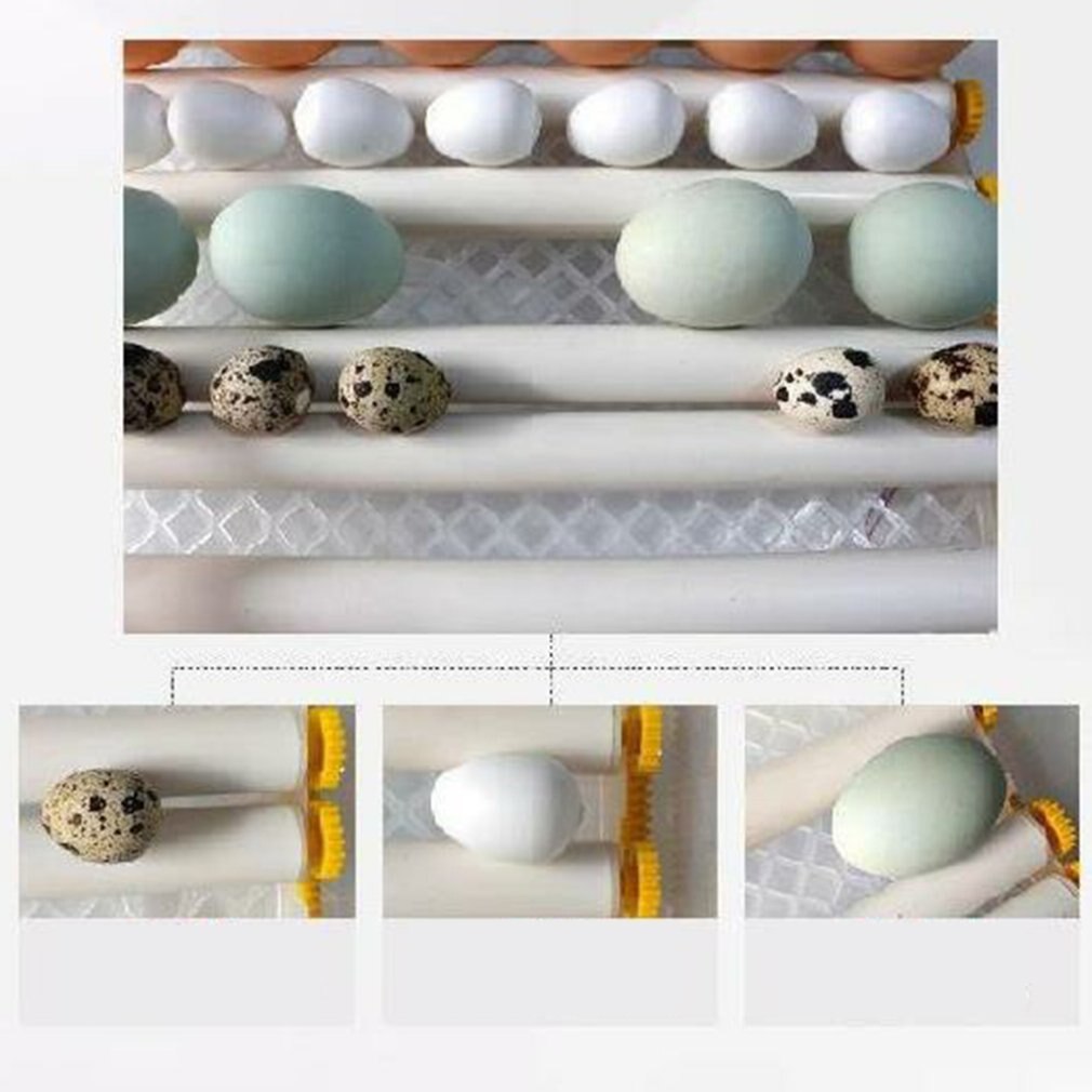 220V Eggs Incubator Brooder Bird Quail Chick Hatchery Incubator Poultry Hatcher Turner Automatic Farm Incubation Tools