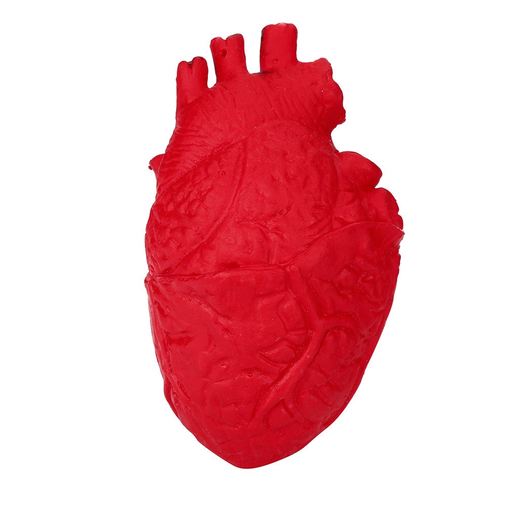 Kid Squishy Novelty Silicone Stress Ball Scary Organ Heart Squeeze Toy Stress Reliever Toy Slow Rising Squeeze Decompression Toy: Default Title
