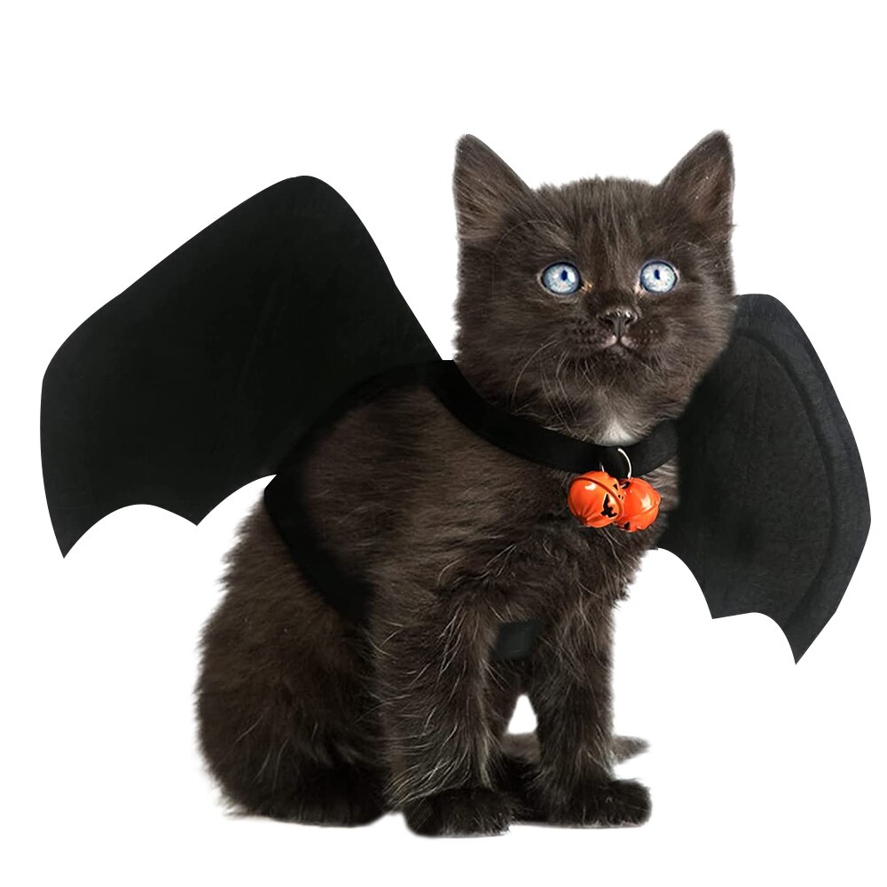 4 Halloween kostuumideeën voor zwangere vrouwen