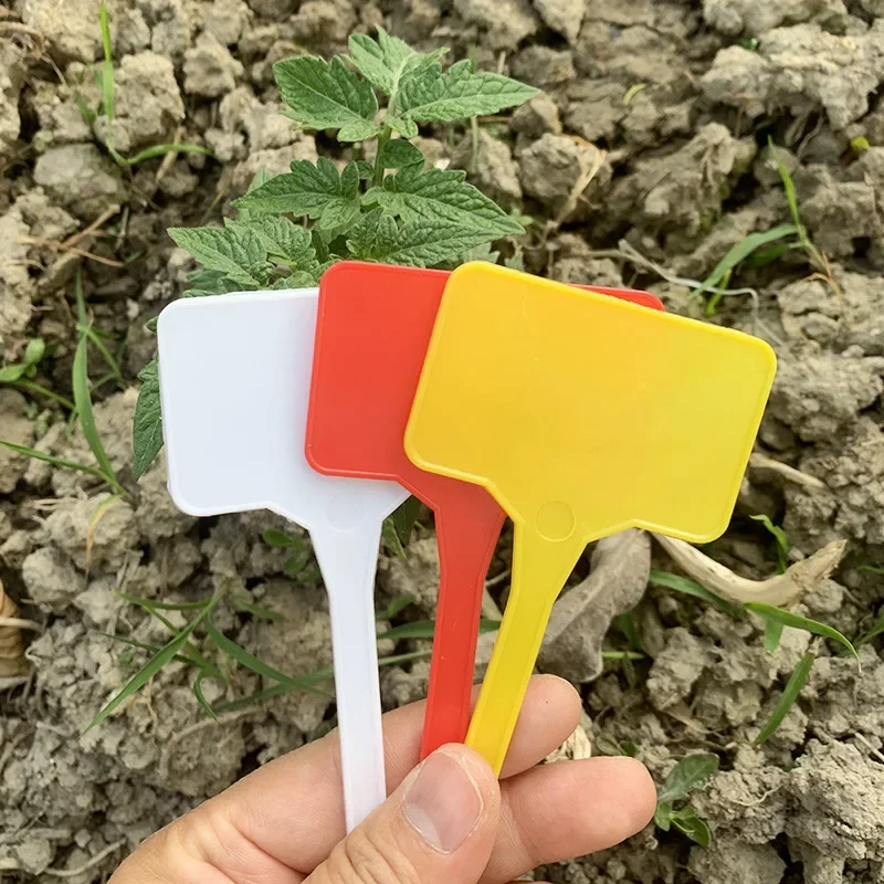 Plant Marks Large Horticultural Label Flower Plants Identification Plate Potted Plant Identification Plate Garden Plant Labels