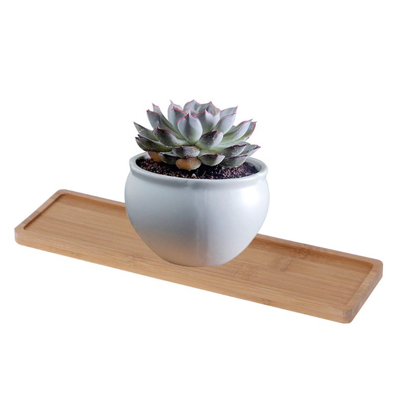 Lot 4 Mini Plateaux Bambou Naturel - 2 Rectangulaires + 2 Ovales - Support Plantes, Bijoux, Fruits, Décoration Éco