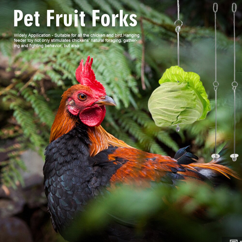 2pcs Parrots Cage Accessories Food Holder Hanging Feeder Toy Hens Chicken Fruit Veggies Budgie Parakeet Skewer Stainless Steel