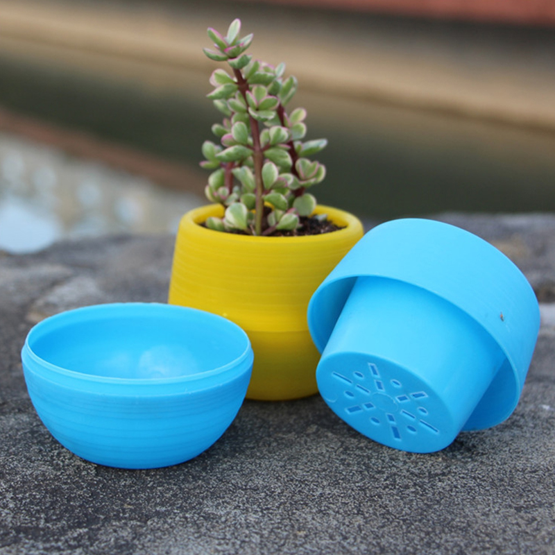 Jjyl80 Mini pot de fleurs | Mini pot de fleurs en plastique incassable pour plantes succulentes, sur le jardin de bureau