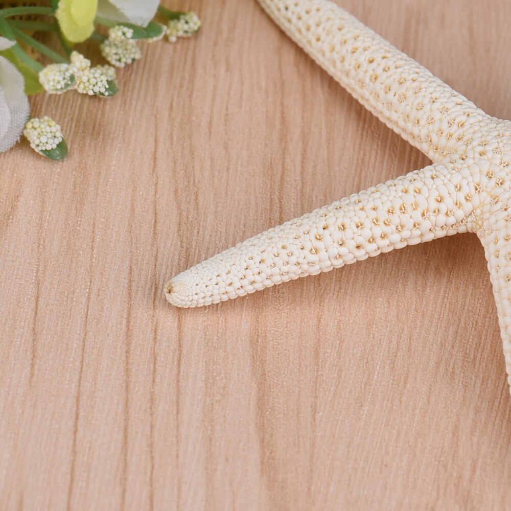 1 Stuk 10-12Cm Wit Natuurlijke Vinger Zeester Craft Decoratie Natuurlijke Zee Ster Diy Strand Huisje Decor