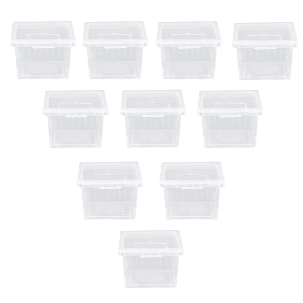 10 pièces pratique Reptile élevage boîte insecte alimentation boîte Portable Creeper maison: Default Title