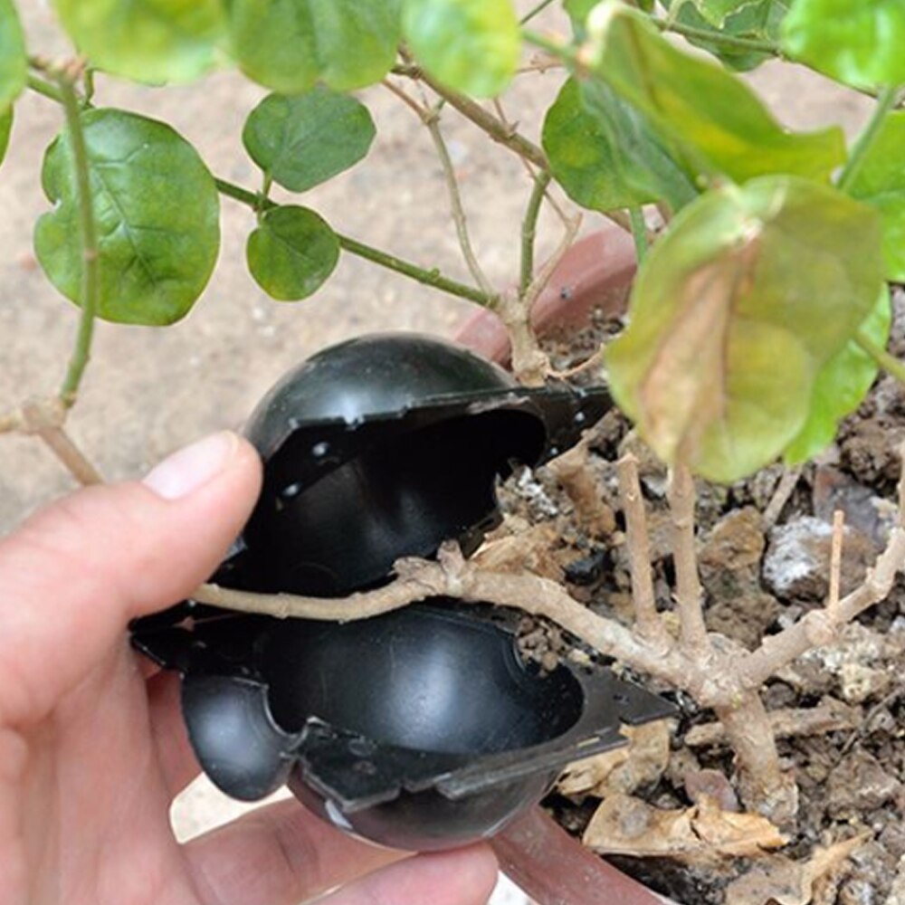 Plant high pressure propagation box cutting grafting rooting box garden tree rooting propagation ball