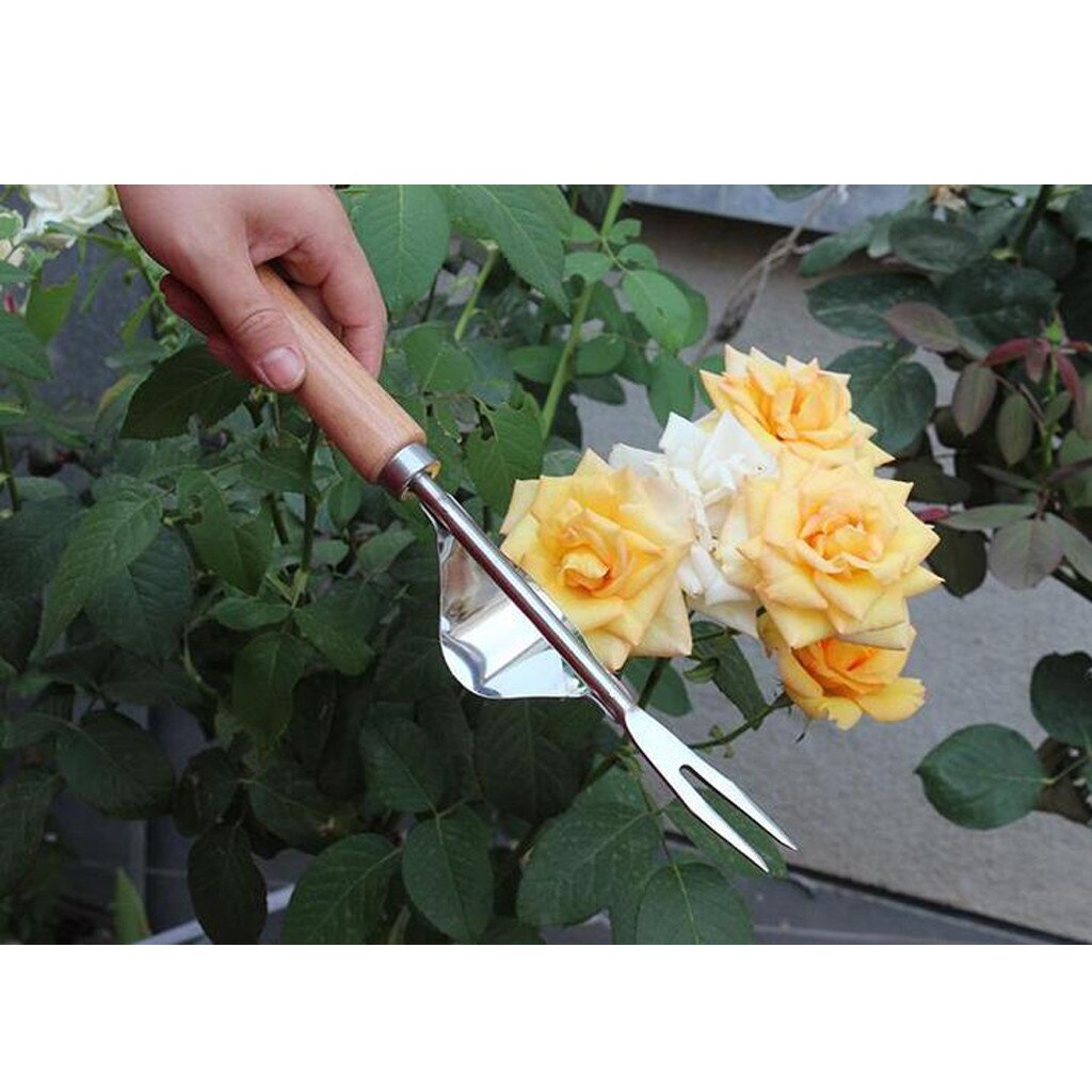 Outils de greffe de fourche en acier à main outils de creusement d'extraction manuel de Taproot pour outils de plantation et de brosse de jardin