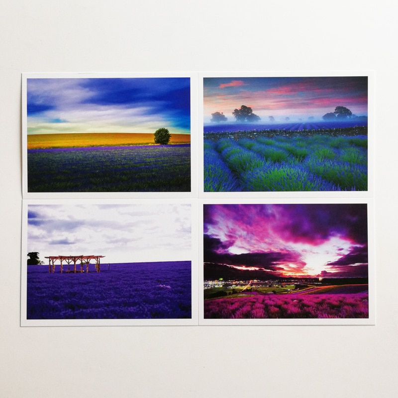 30 stk provence - lilla romantisk smukke landskab blomster af fransk rejselandskab fotografering postkort
