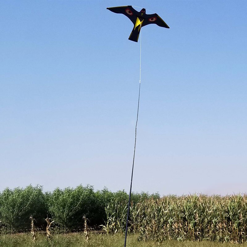 Eagle Kite for Kids - Large Bird Kite for Garden & Outdoor Play - Nylon