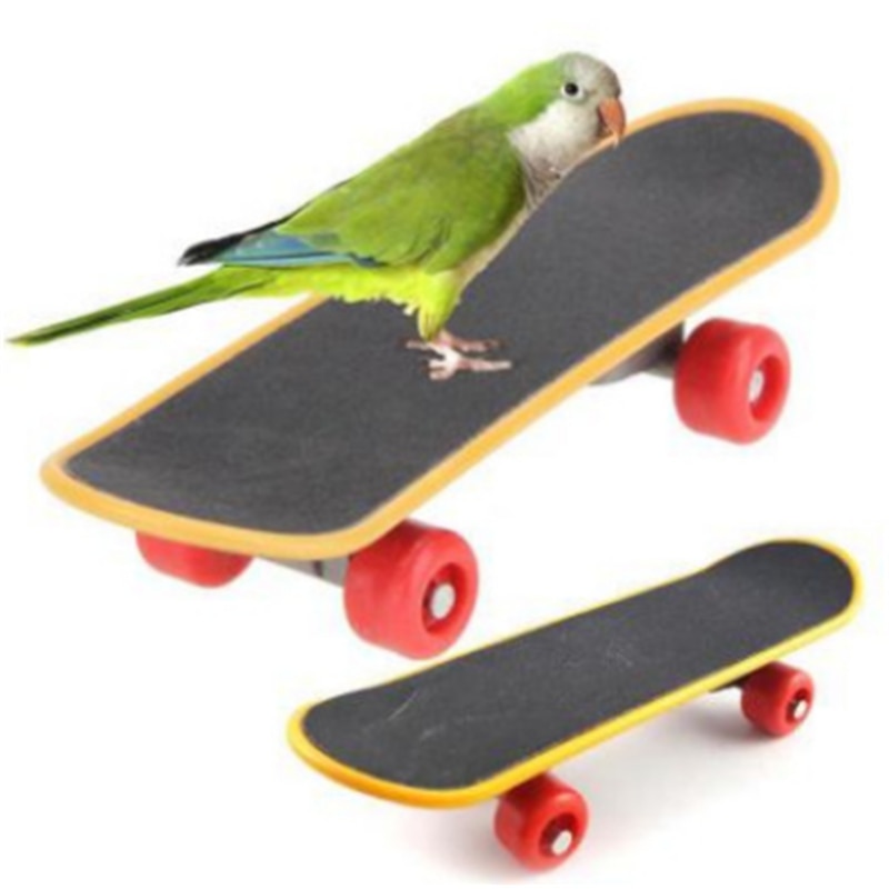 Vogel Papegaai Intelligentie Speelgoed Mini Training Skateboard Voor Parkieten Parkiet Groei Supply Vogel Accessoires Parkiet Speelgoed
