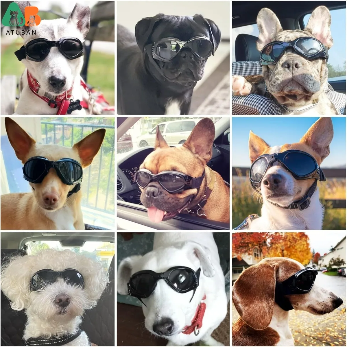 ATUBAN Cool Pet Motorcycle Helmet - Lightweight Goggles & Ear Holes , Stylish Protection for Small Dogs Riding & Driving