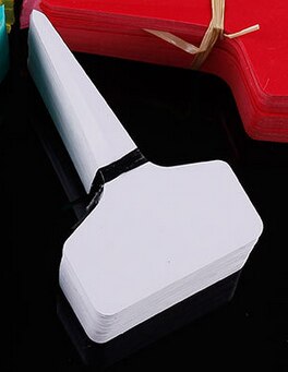 100 Pcs Gardening Tag Seedlings Flower Plant Vegetables Label Garden Direction Sign Fruit Trees Identification Cards: white 50pcs