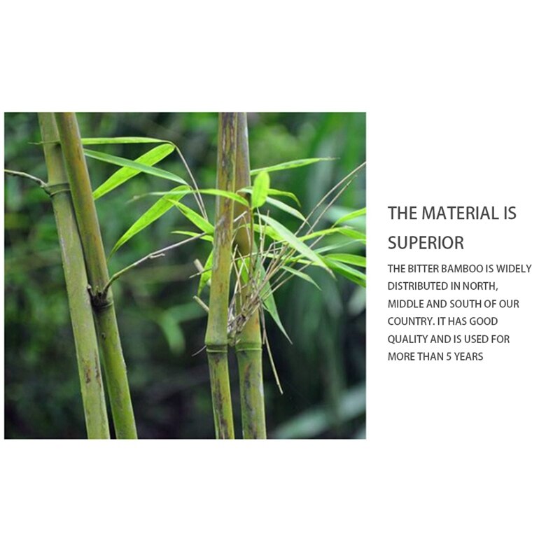 Bitter Bamboo Dizi Flute - Key of C - Professional Chinese Traditional Woodwind Instrument for Beginners