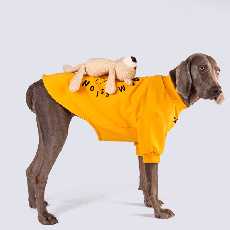 Sweat-shirt pour chien, vêtement de printemps et d&#39;automne, grand gabarit, mince et mignon, Golden Retriever Labrador Shiba Inu, accessoires pour chien