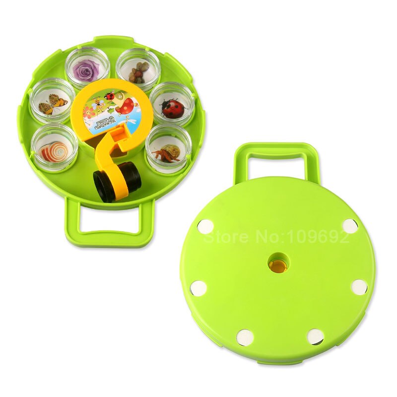 Insect observation science microscopy experimental tools ornamental rocks flowers leaves insects shells crystals minerals