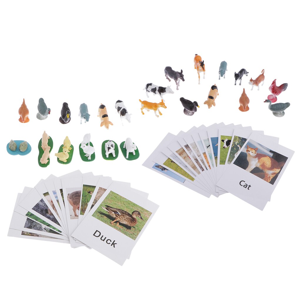 24Pc Education Animals Toy Animals Model Card Plastic & Paper Multicolor A+B