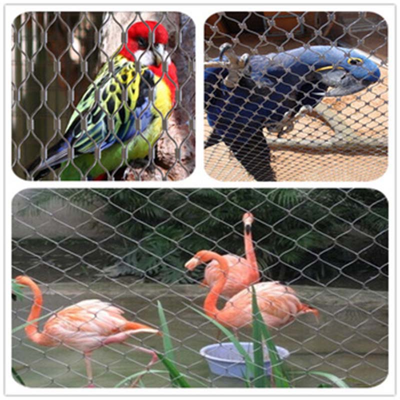 Animal Enclosure Mesh /stainless steel zoo mesh