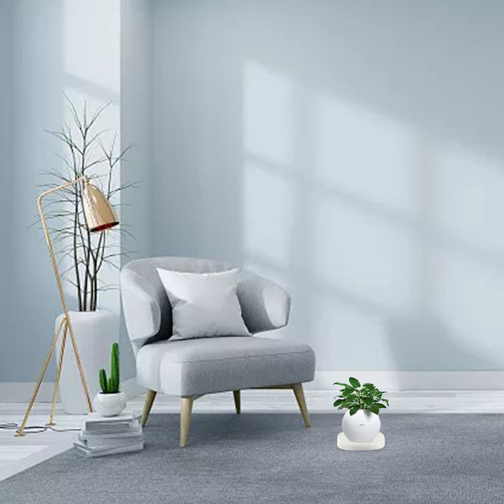 Mobiele Plant Caddy Roller Wielen Trolley Container Planter Caddies Voor Outdoor Indoor: White 4 Wheels S