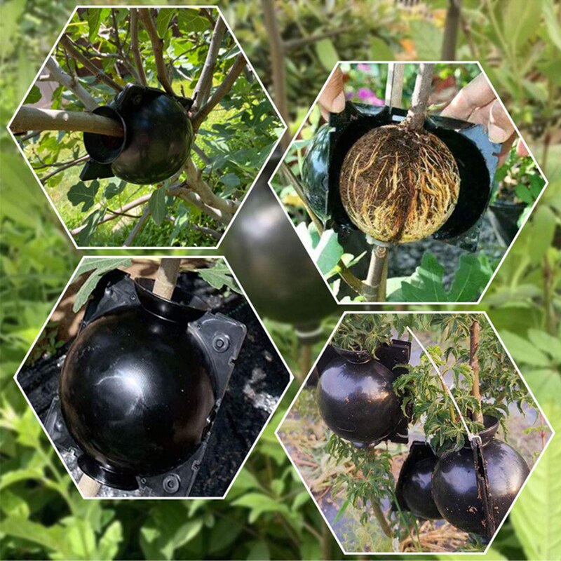 Plant Rooting Device, Plant Root Growing Box High-Pressure Propagation Root Ball for Tree, Reusable Grafting Rooting Ball
