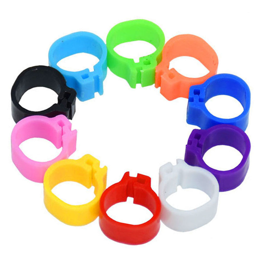 100 Stücke 10mm VöGel Taube Fußringe Kleine GeflüGel FußRing 10 Farben Kunststoff Taube Clip Wachtel Taube FußRing Haustier Vogel Liefert: scharlachrot