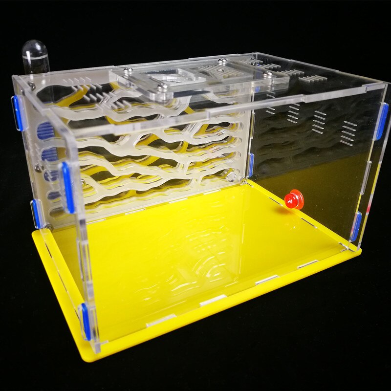 1PCS Ants Nest Ants Workshop Acrylic Nest Plaster ... – Grandado
