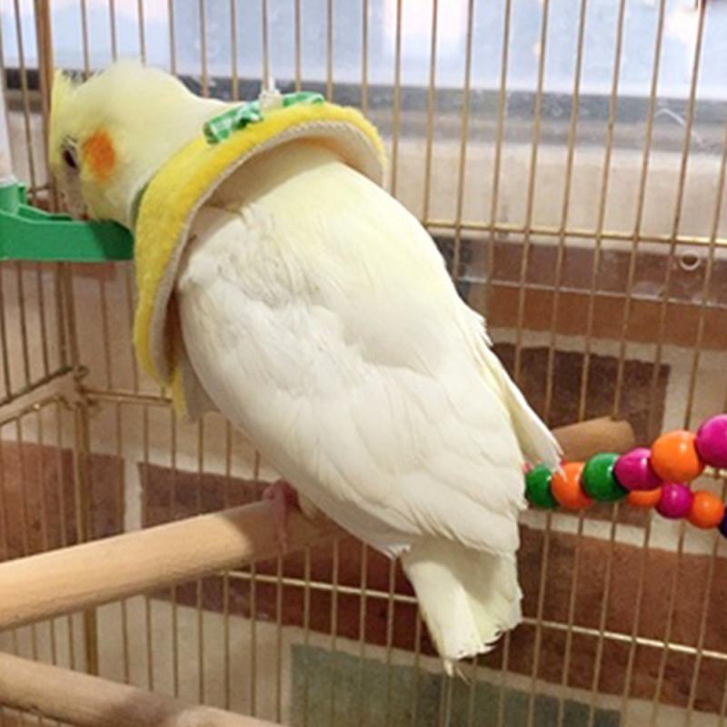 1Pc Vogel Erholung Weiche Kragen Elisabethanischen Nacken Kragen Papagei Kragen Einstellbare Halsbänder 4 Farben Kakadu Liebe Vogel Zubehör