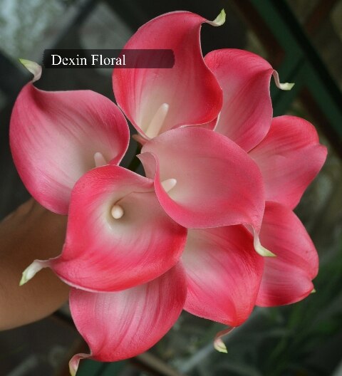 Calla Lilies Natural Real Touch Flowers Picasso Purple White Calla Lily For Wedding Bouquets Centerpieces: roseo