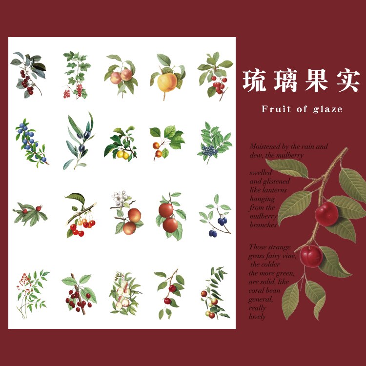 40Pcs Natuur Fotoboek Huisdier Grote Deco Stickers Plant Bloem Blad Transparante Kogel Journaling Accessoires Esthetische Stickers: K