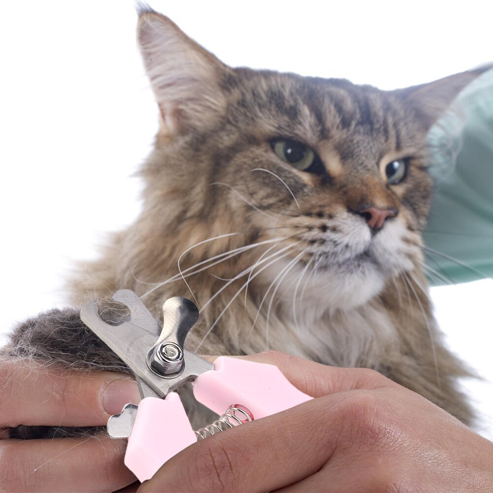 Kattehunde negleklipper cutter med segl rustfrit stål grooming saks clippers til kæledyrsprodukter