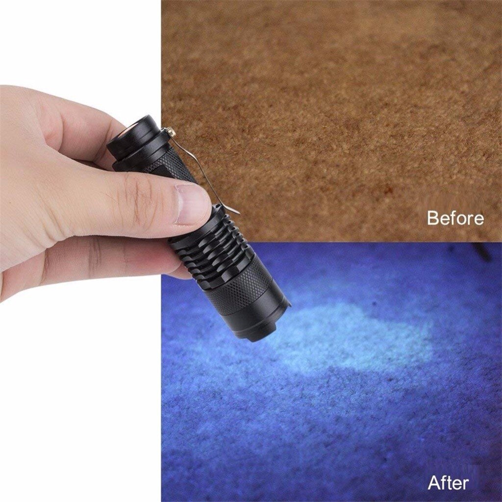 Lampe torche UV Portable, 395 nm, lumière ultraviolette, lumière noire, pour marqueur, vérificateur, détection d'animaux de compagnie, # W5