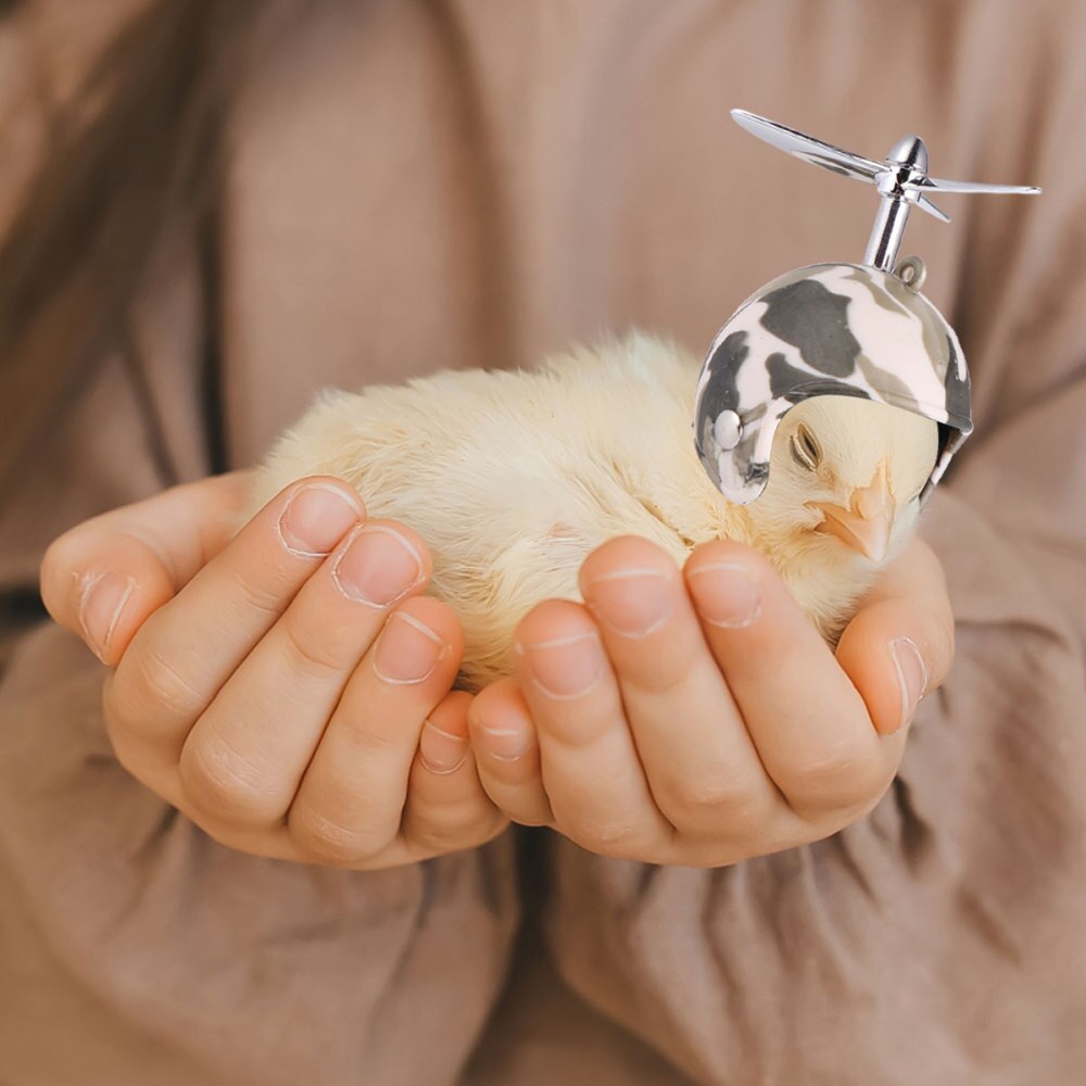 2pcs Funny Chicken Helmet Pet Protective Gear Sun Rain Protection Helmet Costumes Accessories Bird Hens Pet Supplies
